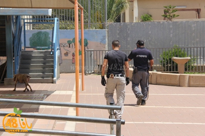 modahama ajyal prime (2).JPG